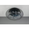 Reality Ventilateur de plafond lumineux Johanna à cage métallique avec télécommande