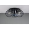 Reality Ventilateur de plafond lumineux Johanna à cage métallique avec télécommande