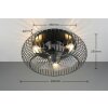 Reality Ventilateur de plafond lumineux Johanna à cage métallique avec télécommande