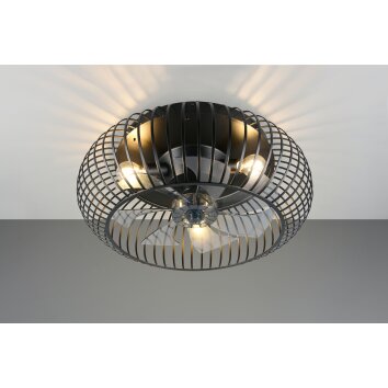 Reality Ventilateur de plafond lumineux Johanna à cage métallique avec télécommande