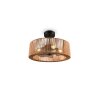 Reality Ventilateur de plafond lumineux Smillum avec télécommande, 3 vitesses