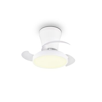 Reality Ventilateur de plafond LED Moss, blanc réglable 2700-6500 Kelvin, 6 vitesses