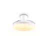 Reality ventilateur de plafond lumineux LED Kiruna, blanc réglable 2700-6500 Kelvin