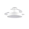 Reality ventilateur de plafond lumineux Vansbro, LED, blanc réglable 2700-6500 Kelvin