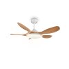 Reality Ventilateur LED Flen, dimmable par télécommande, blanc réglable 2700-6500 Kelvin