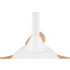 Reality Ventilateur LED Flen, dimmable par télécommande, blanc réglable 2700-6500 Kelvin