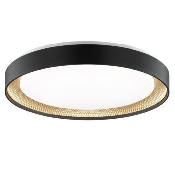 Brilliant plafonnier LED Waldo, dimmable par télécommande, blanc réglable 3000-6500 Kelvin