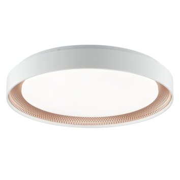 Brilliant Plafonnier LED Waldo dimmable par télécommande, blanc réglable 3000-6500 Kelvin