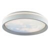 Brilliant Plafonnier LED rond Sky-Dream gris, télécommande, blanc réglable 3000-6500 Kelvin