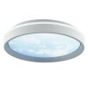 Brilliant Plafonnier LED rond Sky-Dream gris, télécommande, blanc réglable 3000-6500 Kelvin