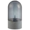 Brilliant Lampe à poser LED Illusion moderne à cloche en verre fumé, 2 lumières