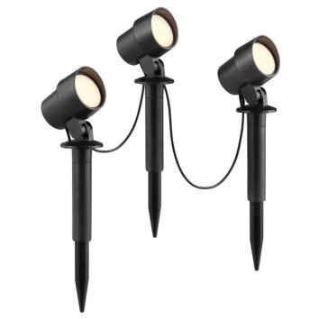 Brilliant, spot à piquer Kamara, 3 têtes noires câblées, LED 3000 Kelvin blanc chaud, IP44