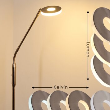 Lampadaire Gulkana LED Nickel mat, 1 lumière, Changeur de couleurs