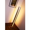 Lampadaire LED Helestra Anthracite, 1 lumière