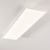 Plafonnier Antria LED Blanc, 1 lumière