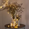 Guirlande Sondrio LED, 100 lumières