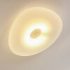 Plafonnier Jelsa Blanc, 1 lumière