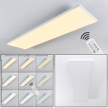 Plafonnier Bankura LED Blanc, 1 lumière, Télécommandes