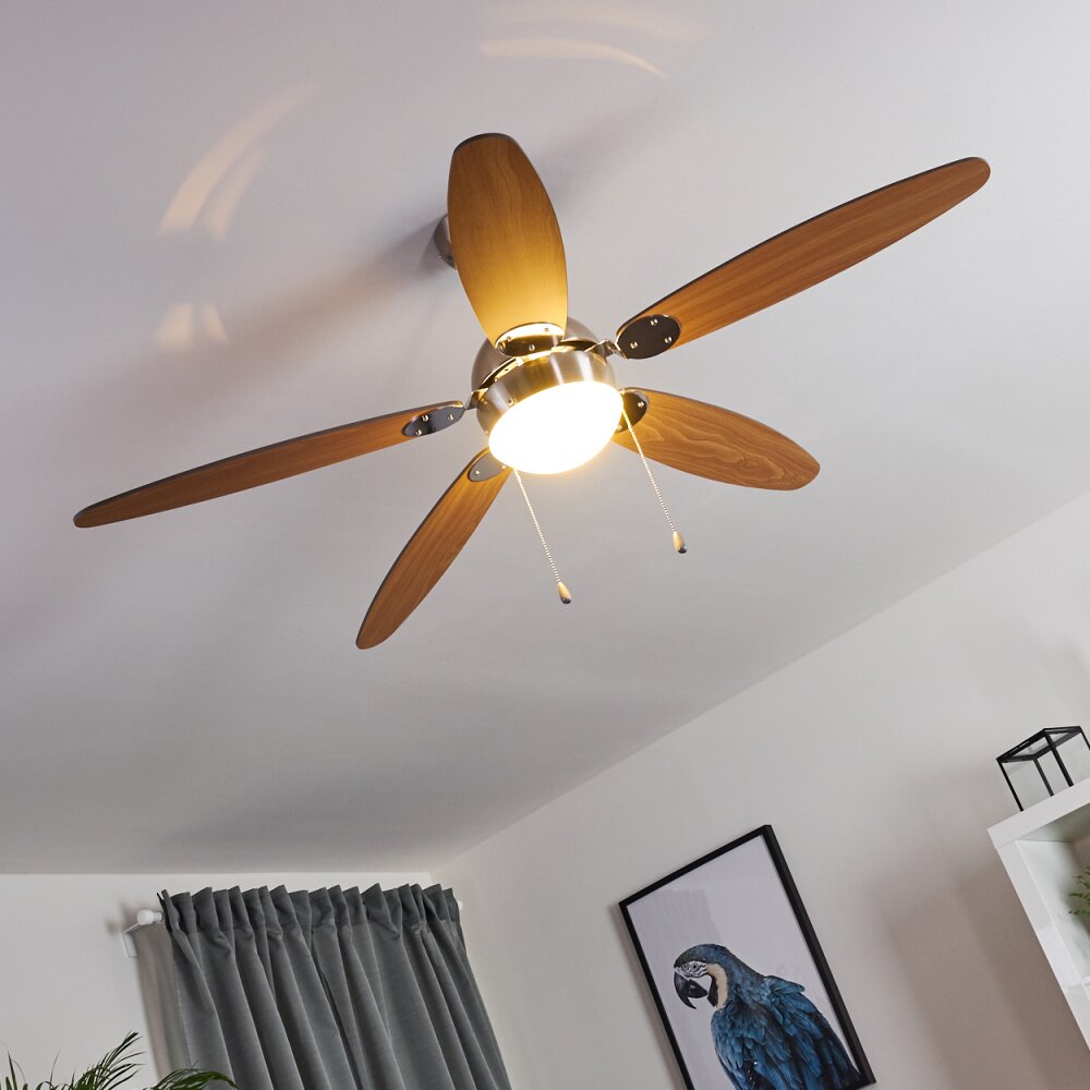 Ventilateur de plafond Valeria Chrome, Bois clair, Nickel mat, 1 lumière