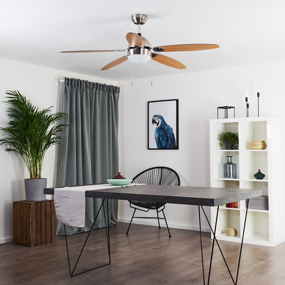 Ventilateur de plafond Valeria Chrome, Bois clair, Nickel mat, 1 lumière