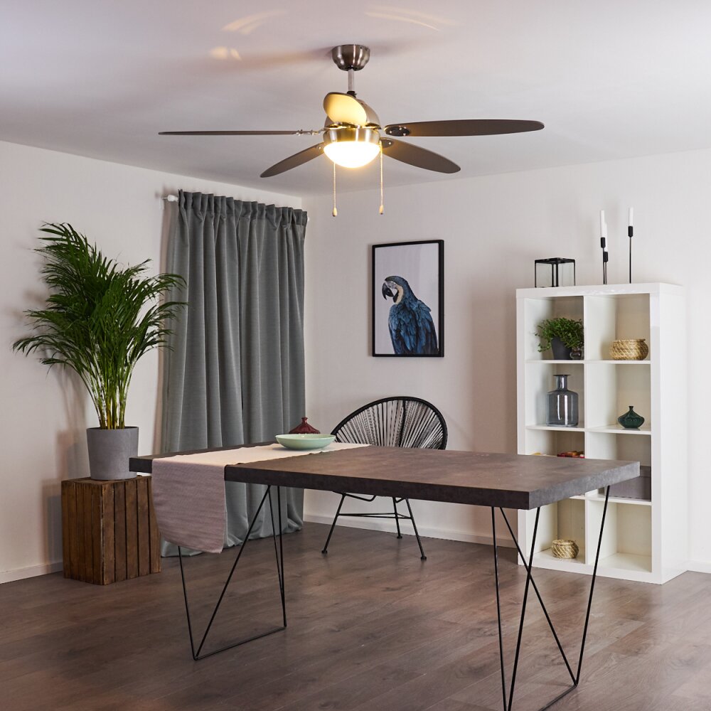 Ventilateur de plafond Valeria Chrome, Bois clair, Nickel mat, 1 lumière