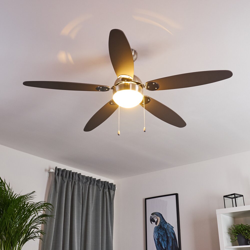 Ventilateur de plafond Valeria Chrome, Bois clair, Nickel mat, 1 lumière