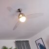 Ventilateur de plafond Varazze Nickel mat, Transparent, 1 lumière, Télécommandes