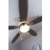 Ventilateur Globo AZURA Nickel mat, 1 lumière