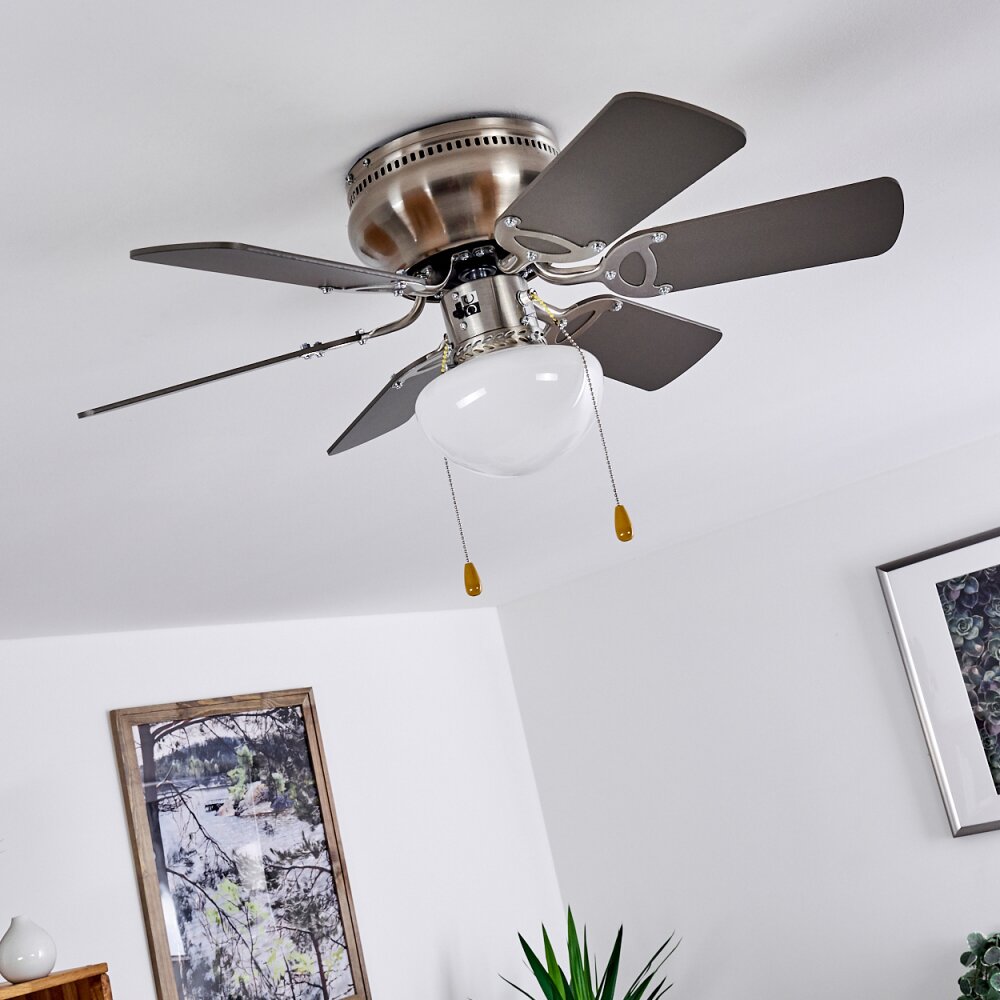 Ventilateur de plafond Petite Nickel 76 cm avec éclairage et