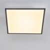 Plafonnier Salmi LED Gris, Blanc, 1 lumière