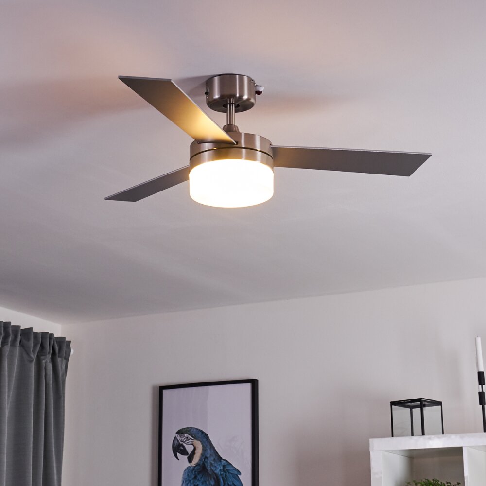 Ventilateur de plafond Vevey Bois clair, Nickel mat, Argenté, 2 lumières, Télécommandes