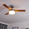 Ventilateur de plafond Vevey Bois clair, Nickel mat, Argenté, 2 lumières, Télécommandes