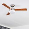 Ventilateur de plafond Vevey Bois clair, Nickel mat, Argenté, 2 lumières, Télécommandes