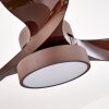 Ventilateur de plafond Doha LED Brun, 1 lumière, Télécommandes