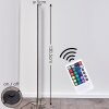 Lampadaire Pipe LED Nickel mat, 1 lumière, Télécommandes, Changeur de couleurs