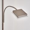 Lampadaire à vasque Veteli LED Acier inoxydable, 2 lumières