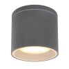 plafonnier extérieur Globo ALCALA Anthracite, 1 lumière