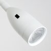 Lampe de chevet Alsea LED Blanc, 1 lumière, Détecteur de mouvement