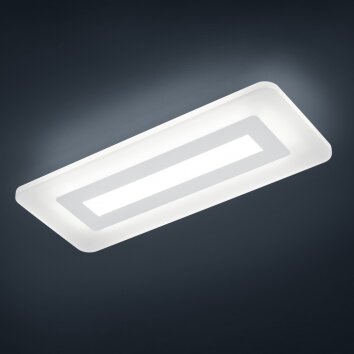 Plafonnier Helestra Wes LED Gris, Blanc, 1 lumière