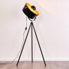 Lampadaire Jupiter Noir doré, 1 lumière