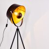 Lampadaire Jupiter Noir doré, 1 lumière