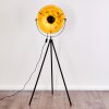 Lampadaire Jupiter Noir doré, 1 lumière