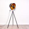 Lampadaire Jupiter Noir doré, 1 lumière