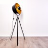 Lampadaire Jupiter Noir doré, 1 lumière