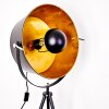 Lampadaire Jupiter Noir doré, 1 lumière