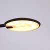 Lampe à poser Steinhauer Zenith LED Noir, 1 lumière