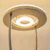 Lampadaire à vasque Watino LED Nickel mat, 3 lumières