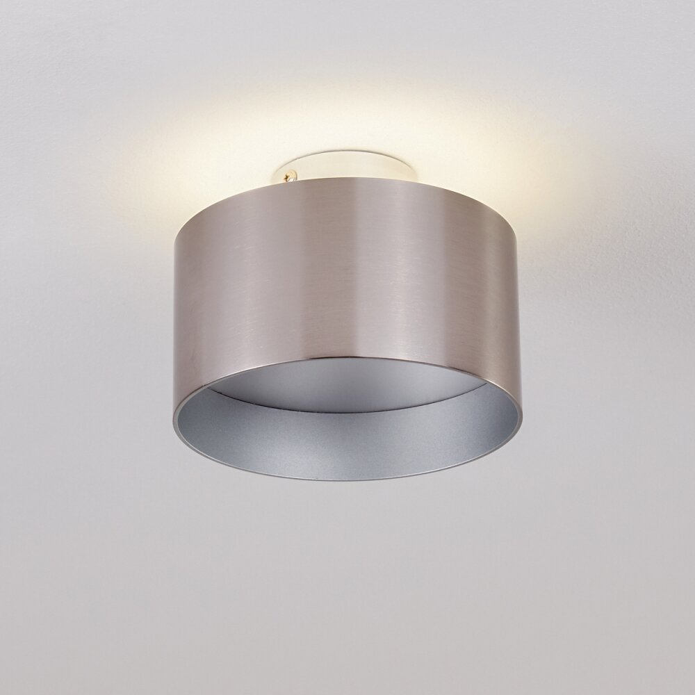 Plafonnier Baraboo LED Nickel mat, 2 lumières