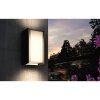 Applique murale Philips Hue White Turaco Anthracite, 1 lumière