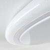 Plafonnier Lowell LED Blanc, 2 lumières, Télécommandes, Changeur de couleurs